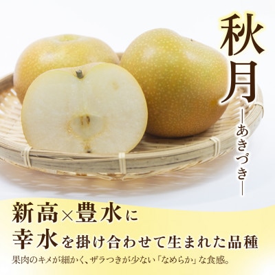 あきづき 梨 3kg 6～10玉 【2026年収穫分】かすみがうら市