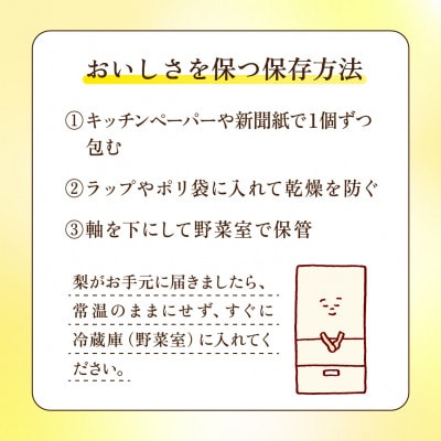 あきづき 梨 3kg 6～10玉 【2026年収穫分】かすみがうら市