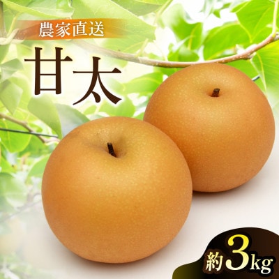 甘太 梨 3kg 6～10玉 【2026年収穫分】かすみがうら市