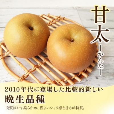 甘太 梨 3kg 6～10玉 【2026年収穫分】かすみがうら市
