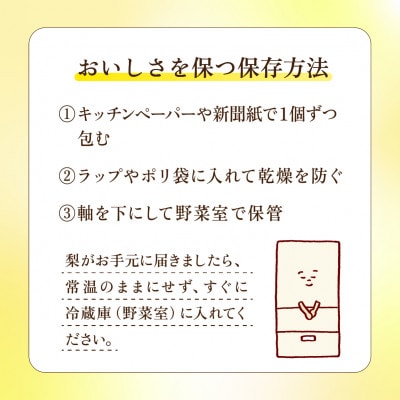 完熟甘梨 5kg 10～16玉 【2026年収穫分】かすみがうら市