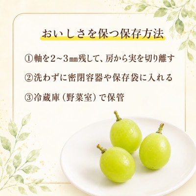 産地直送 訳ありシャインマスカット バラ粒 1kg 【2026年発送】