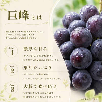 産地直送 訳あり巨峰 バラ粒 1kg 【2026年発送】
