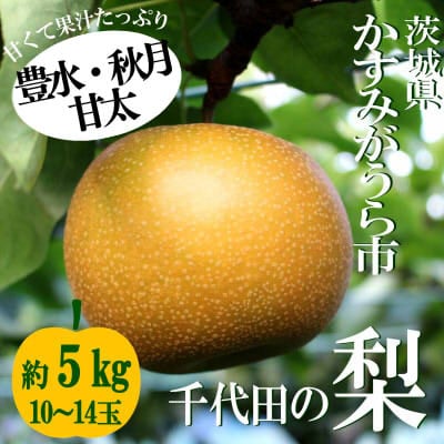 【2026年出荷受付】茨城県　千代田の梨(豊水・秋月・甘太いずれか)約5kg