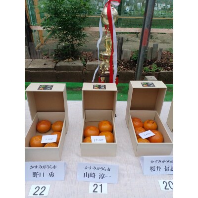 柿の中の柿、最も古くから愛されている美味しい富有柿　約3.5kg(10～12個)