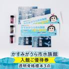 かすみがうら市水族館入館ご優待券および透明骨格標本3点