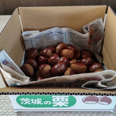 【2025年10月発送開始】産地直送!久保田果樹園の生栗3Lサイズ約3kg
