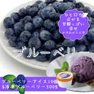 『ブルーベリーやすだ』の濃厚ブルーベリーアイス10個　&　冷凍ブルーベリー500gのセット