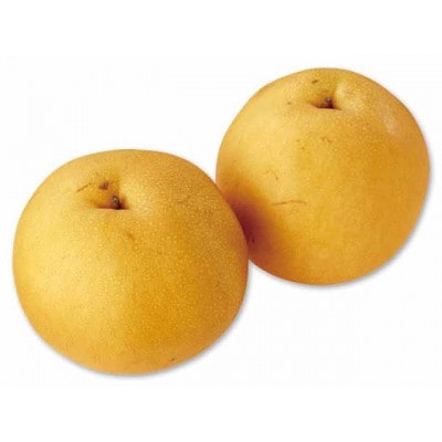 にっこり　5kg 10～12個　県内共通返礼品