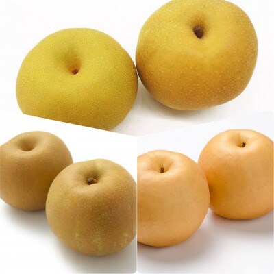 梨　食べ比べ(5～8個×3品種)　県内共通返礼品