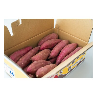 茨城県産紅はるか 計5kg