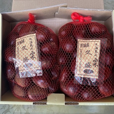 かすみがうら市産 熟成栗3L　2kg