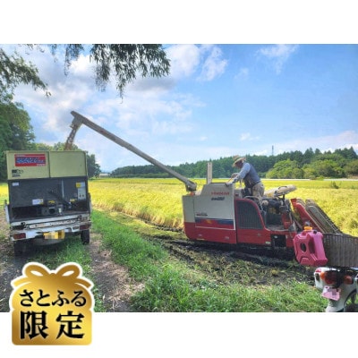 【さとふる限定】こしひかり 白米 5kg 茨城県産