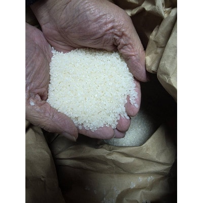 【さとふる限定】こしひかり 白米 5kg 茨城県産