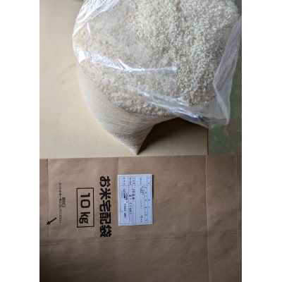 【さとふる限定】こしひかり 白米 5kg 茨城県産