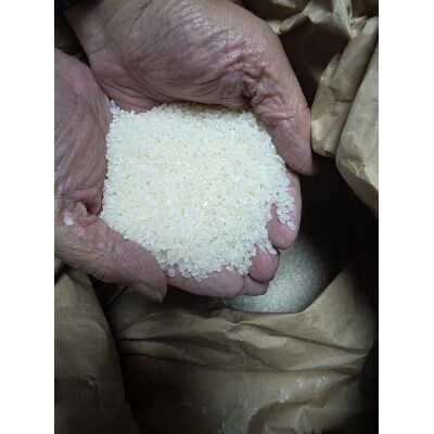 【さとふる限定】こしひかり 白米 10kg 茨城県産