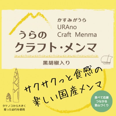 【国産メンマ】サクサクとした食感が楽しい♪かすみがうら産「うらの クラフト・メンマ」100g×2PC