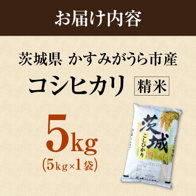 令和7年産　茨城県かすみがうら市産　精米　コシヒカリ　5kg