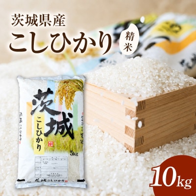 令和7年産　茨城県かすみがうら市産　精米　コシヒカリ　10kg