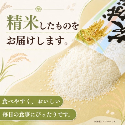 令和7年産　茨城県かすみがうら市産　精米　コシヒカリ　10kg