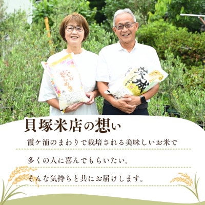 令和7年産　茨城県かすみがうら市産　精米　コシヒカリ　10kg