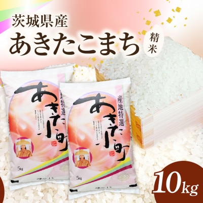 【令和8年産】 新米 あきたこまち 精米 10kg(5kg×2袋)