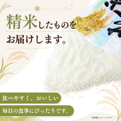 【令和8年産】新米 あきたこまち 精米 5kg(5kg×1袋)