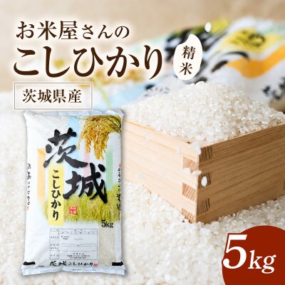 令和8年産 新米 お米屋さんのコシヒカリ 精米 5kg(1袋)
