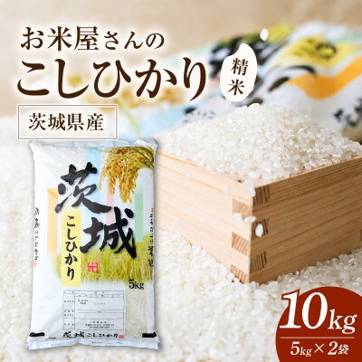 令和8年産 新米 お米屋さんのコシヒカリ 精米 10kg(5kg×2)