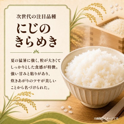 令和8年産 新米 お米屋さんのにじのきらめき 精米 5kg(1袋)