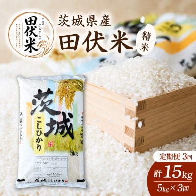【毎月定期便】新米 田伏米のコシヒカリ 5kg全3回 | お米 こしひかり 茨城県かすみがうら市産