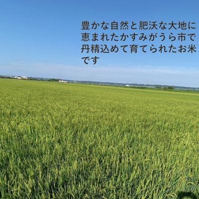 【毎月定期便】茨城県かすみがうら市産　精米　コシヒカリ5kg全6回