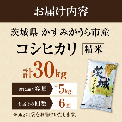 【毎月定期便】茨城県かすみがうら市産　精米　コシヒカリ5kg全6回