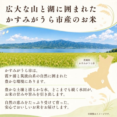 【毎月定期便】茨城県かすみがうら産　精米　コシヒカリ10kg全3回