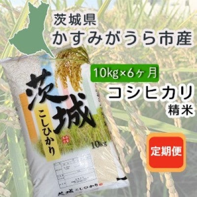 【毎月定期便】茨城県かすみがうら産　精米　コシヒカリ10kg全6回
