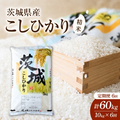 【毎月定期便】茨城県かすみがうら産　精米　コシヒカリ10kg全6回