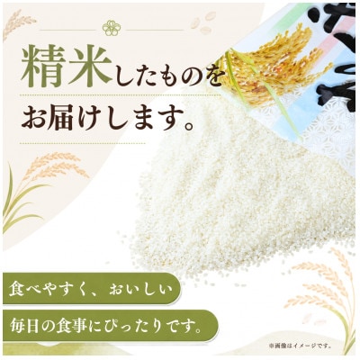 【毎月定期便】【3回定期便】あきたこまち 精米 10kg 全3回