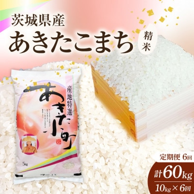 【毎月定期便】【6回定期便】あきたこまち 精米 10kg 全6回