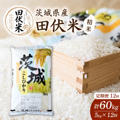 【毎月定期便】田伏米のコシヒカリ 精米5kg こしひかり かすみがうら市全12回