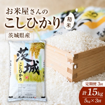 【毎月定期便】お米屋さんのコシヒカリ 精米 5kg(1袋)全3回