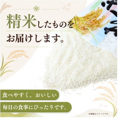 【毎月定期便】お米屋さんのコシヒカリ 精米 5kg(1袋) 全6回