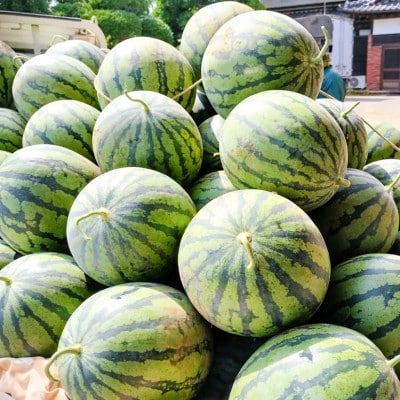 【阿見町共通返礼品】茨城県阿見町産大玉すいか(羅王ザ・スイート)2L(1玉)1箱7.5kg