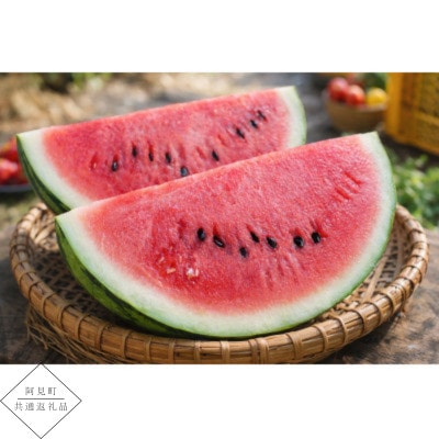 【阿見町共通返礼品】茨城県阿見町産大玉すいか(羅王ザ・スイート)4L(1玉)1箱9～10kg