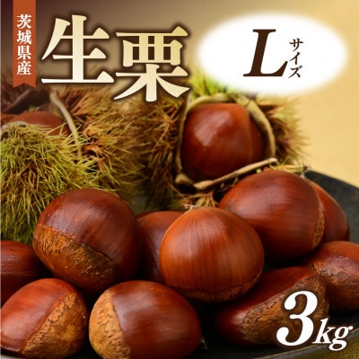 千代田の生栗 3kg 和栗 Lサイズ | 茨城県 かすみがうら市