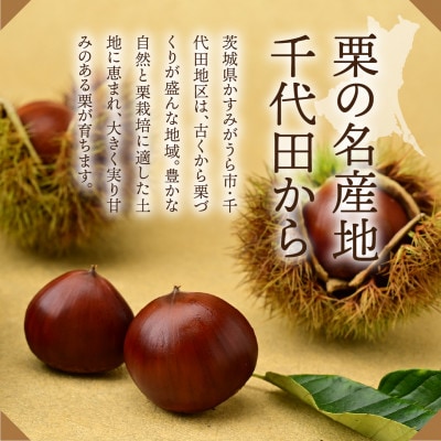千代田の生栗 3kg 和栗 Lサイズ | 茨城県 かすみがうら市