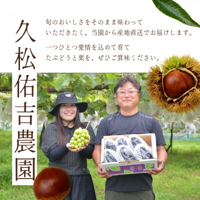 千代田の生栗 3kg 和栗 Lサイズ | 茨城県 かすみがうら市