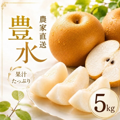 豊水 梨 5kg 8～12玉 【2026年収穫分】 梨 なし かすみがうら市