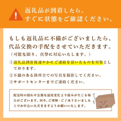 豊水 梨 5kg 8～12玉 【2026年収穫分】 梨 なし かすみがうら市