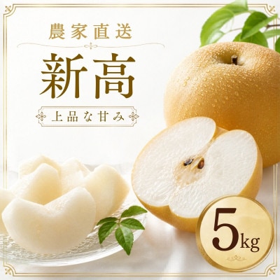 新高 梨 5kg 8～12玉 予約受付 梨 なし 甘い かすみがうら市