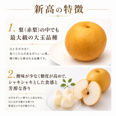 新高 梨 5kg 8～12玉 予約受付 梨 なし 甘い かすみがうら市